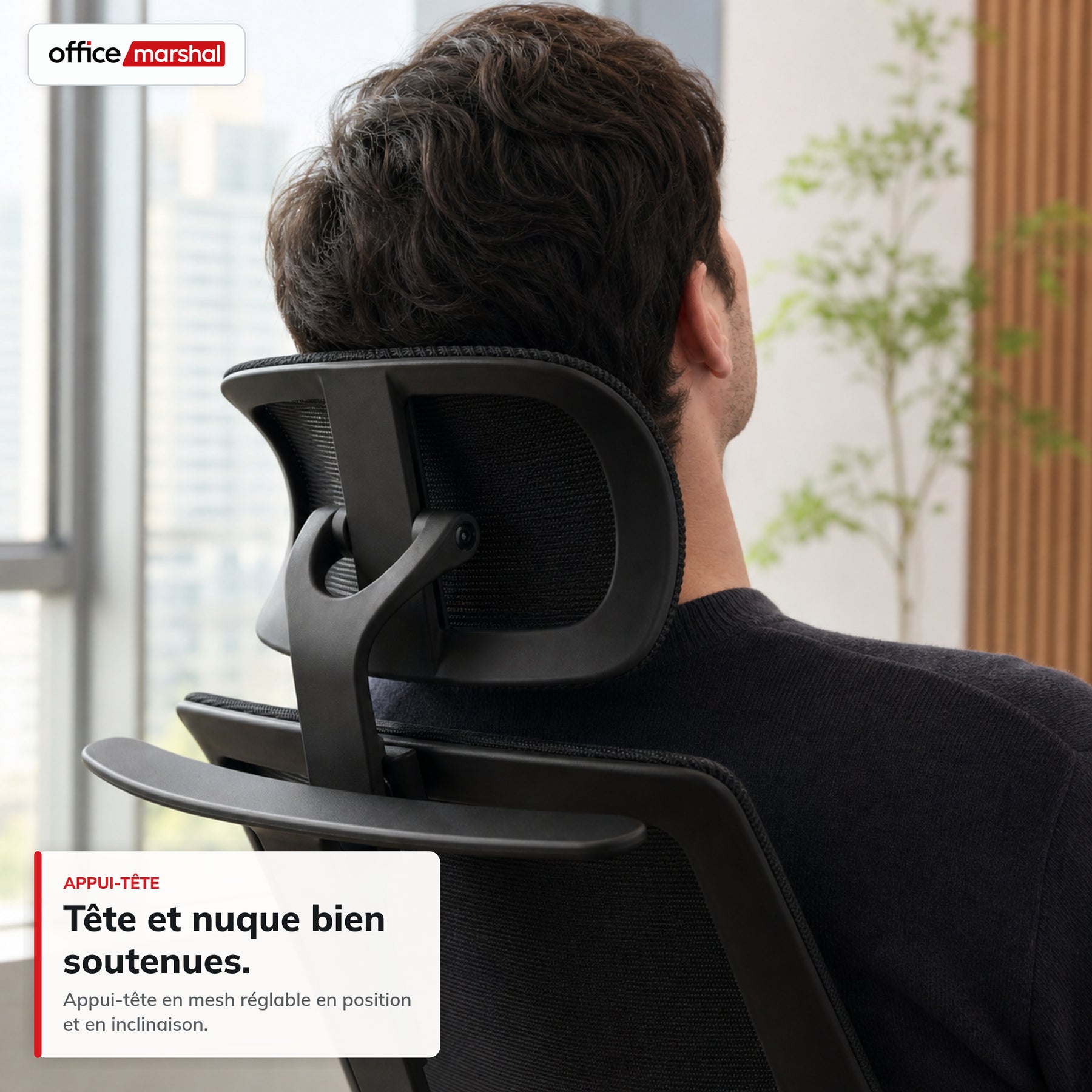 T6_Noir