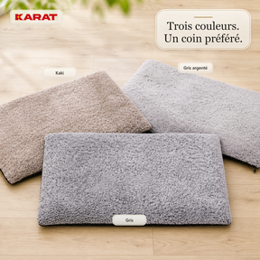 T10_Gris