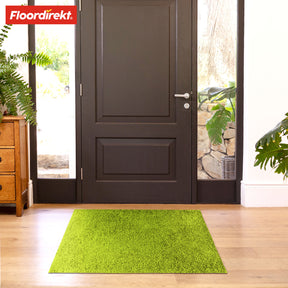 Paillasson | Domenico | Tapis de propreté élégant et pratique | Disponible en plusieurs couleurs attrayantes