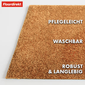 Paillasson | Domenico | Tapis de propreté élégant et pratique | Disponible en plusieurs couleurs attrayantes