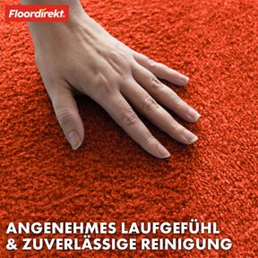 Paillasson | Domenico | Tapis de propreté élégant et pratique | Disponible en plusieurs couleurs attrayantes