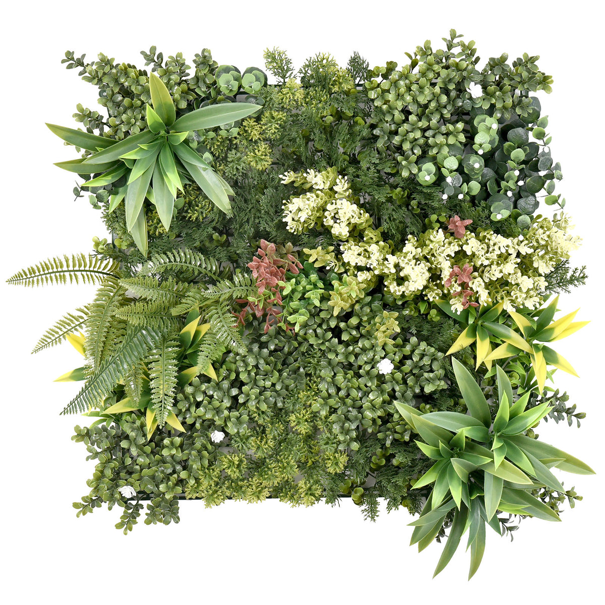 Mur végétal | Rhea | Décoration murale élégante avec plantes vertes et fleurs blanches | 50 x 50 cm