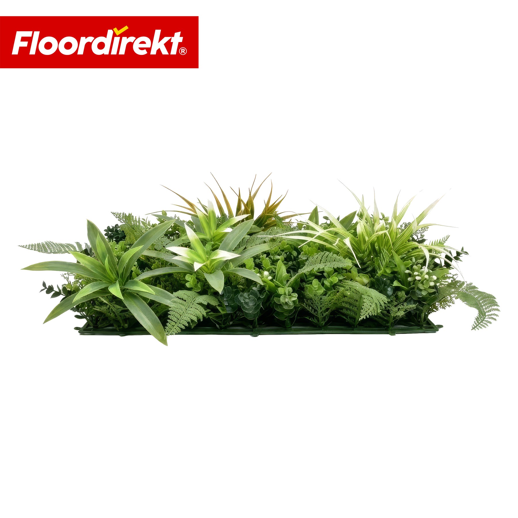 Mur végétal | Fire Sky | Panneau de plantes artificielles naturel et sans entretien | Résistant au soleil & extensible grâce au système de clips | 50 × 50 cm