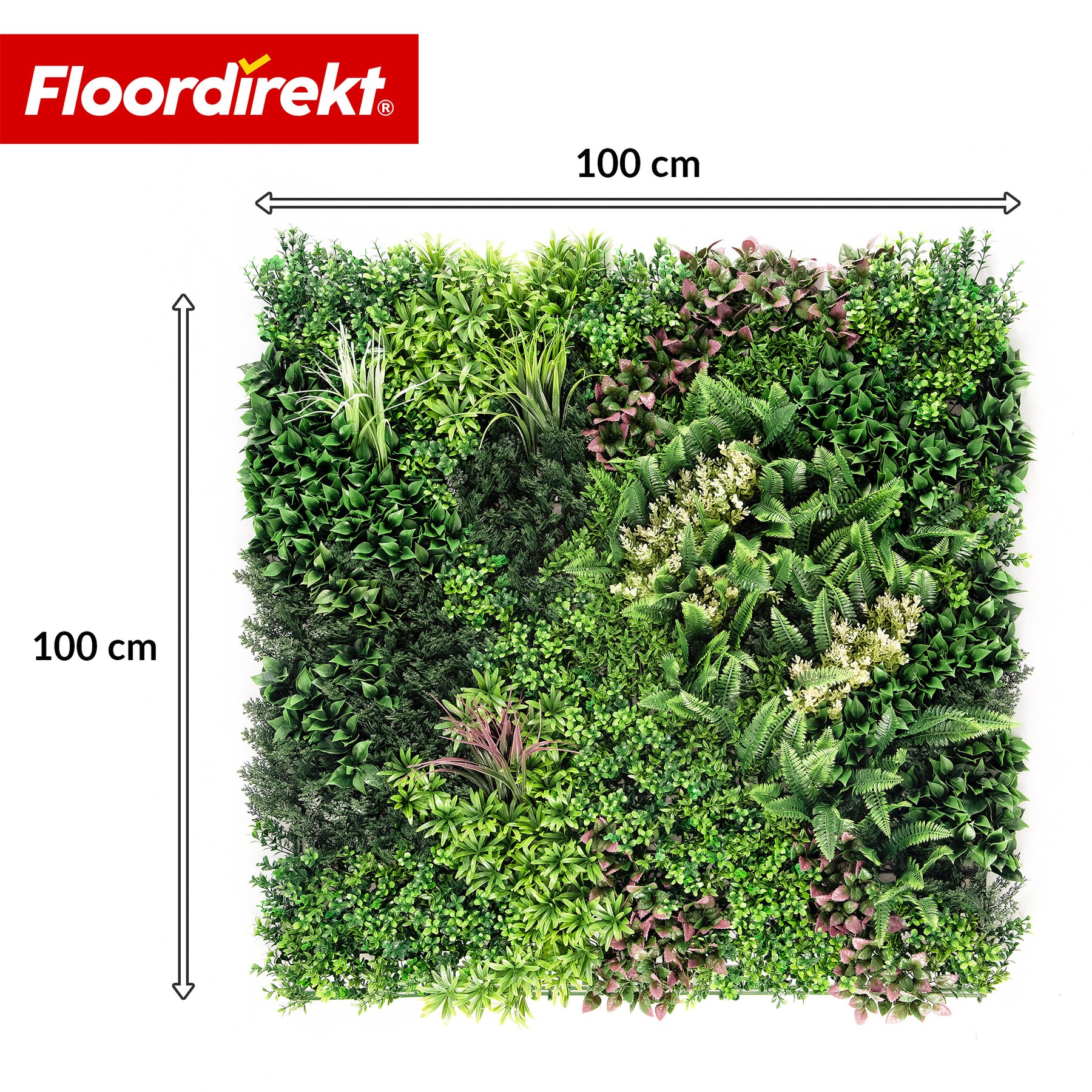 Mur végétal | Hera | Panneau de plantes artificielles naturel et sans entretien | Résistant au soleil & extensible avec système de clips | 100 × 100 cm