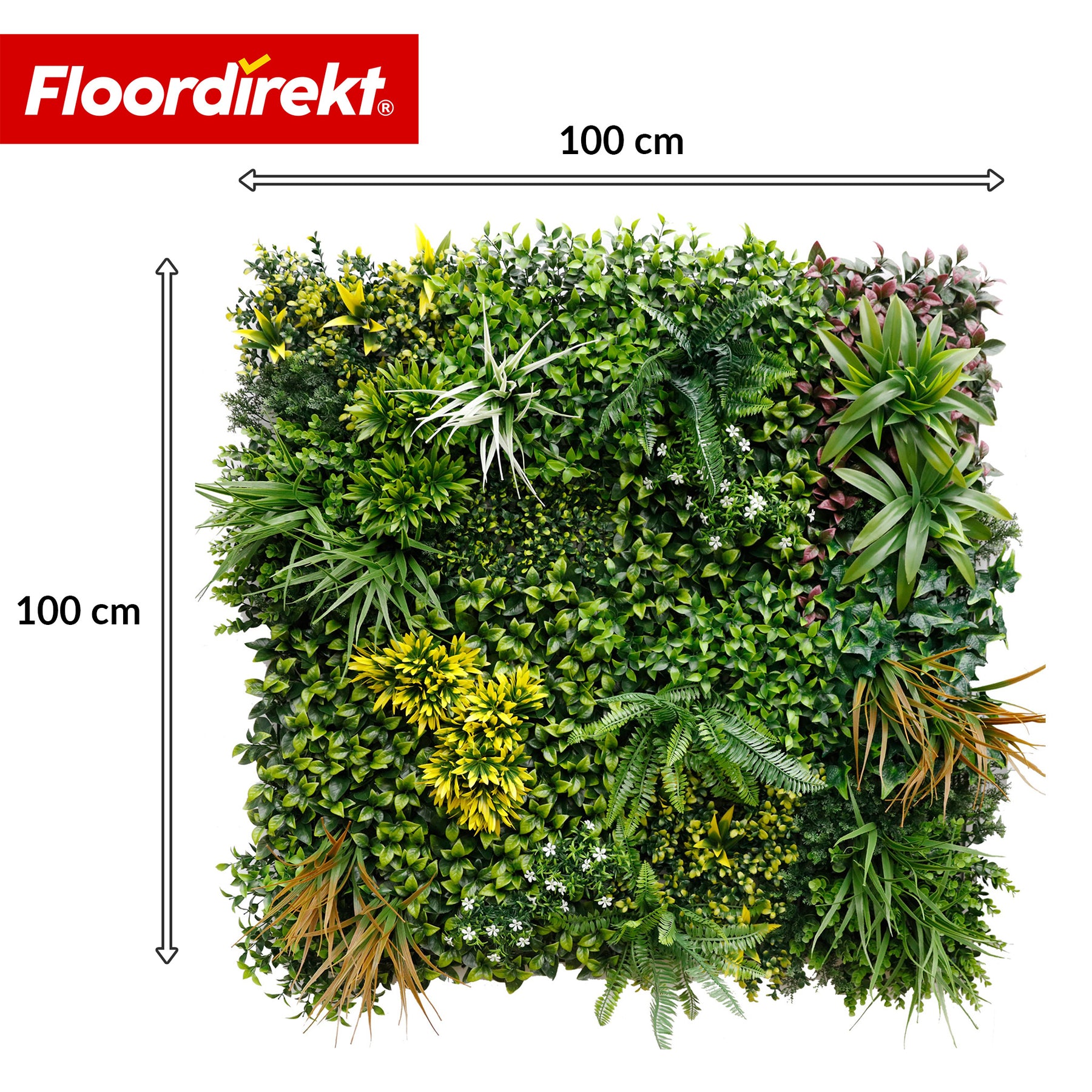 Mur végétal | Spring Garden | Panneau de verdure naturel et sans entretien | Résistant au soleil & extensible grâce au système de clips | 100 × 100 cm