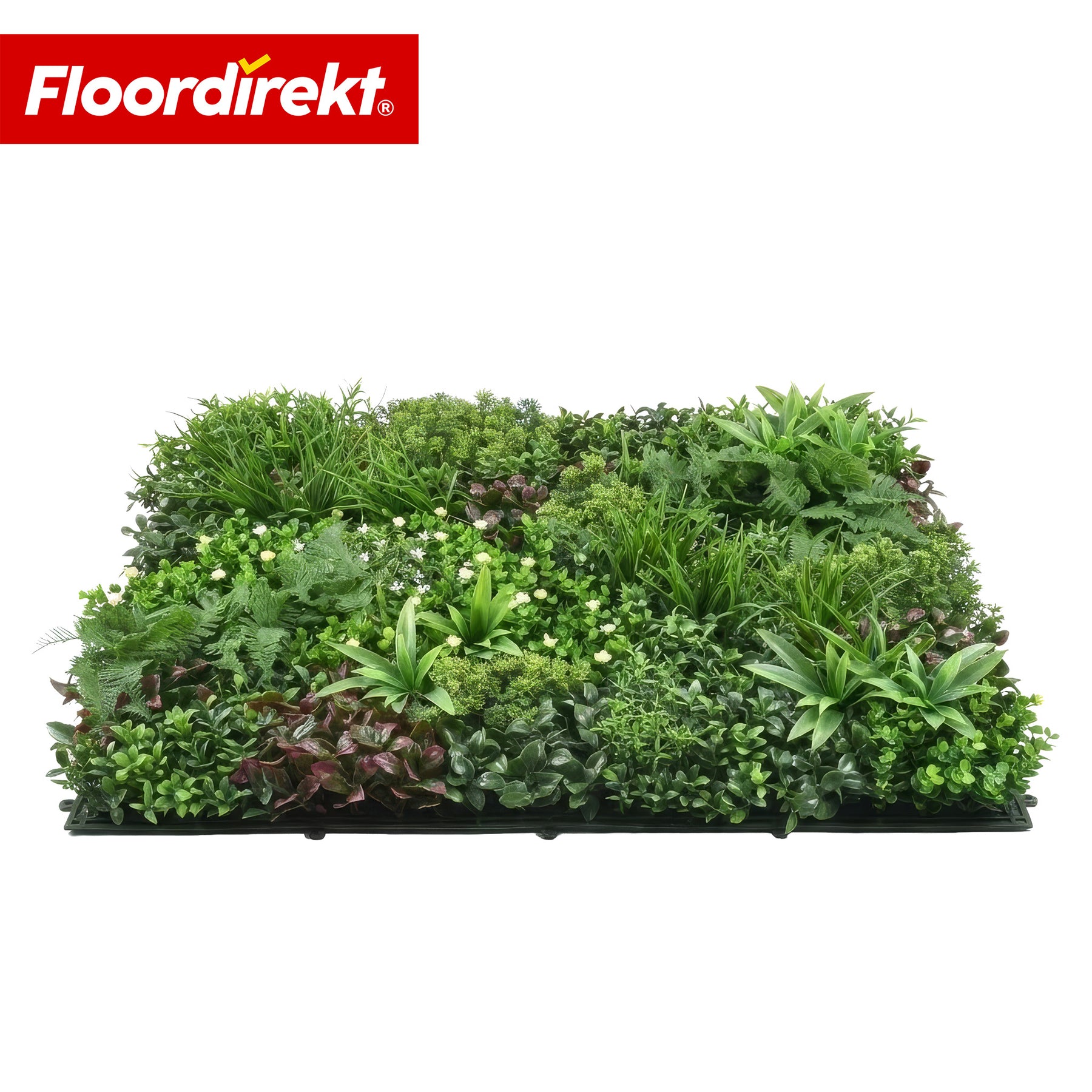 Mur végétal | Wonderland | Panneau de plantes artificielles réalistes | Stable, résistant au soleil & extensible | 100 × 100 cm