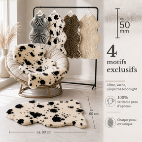 T6_Vache