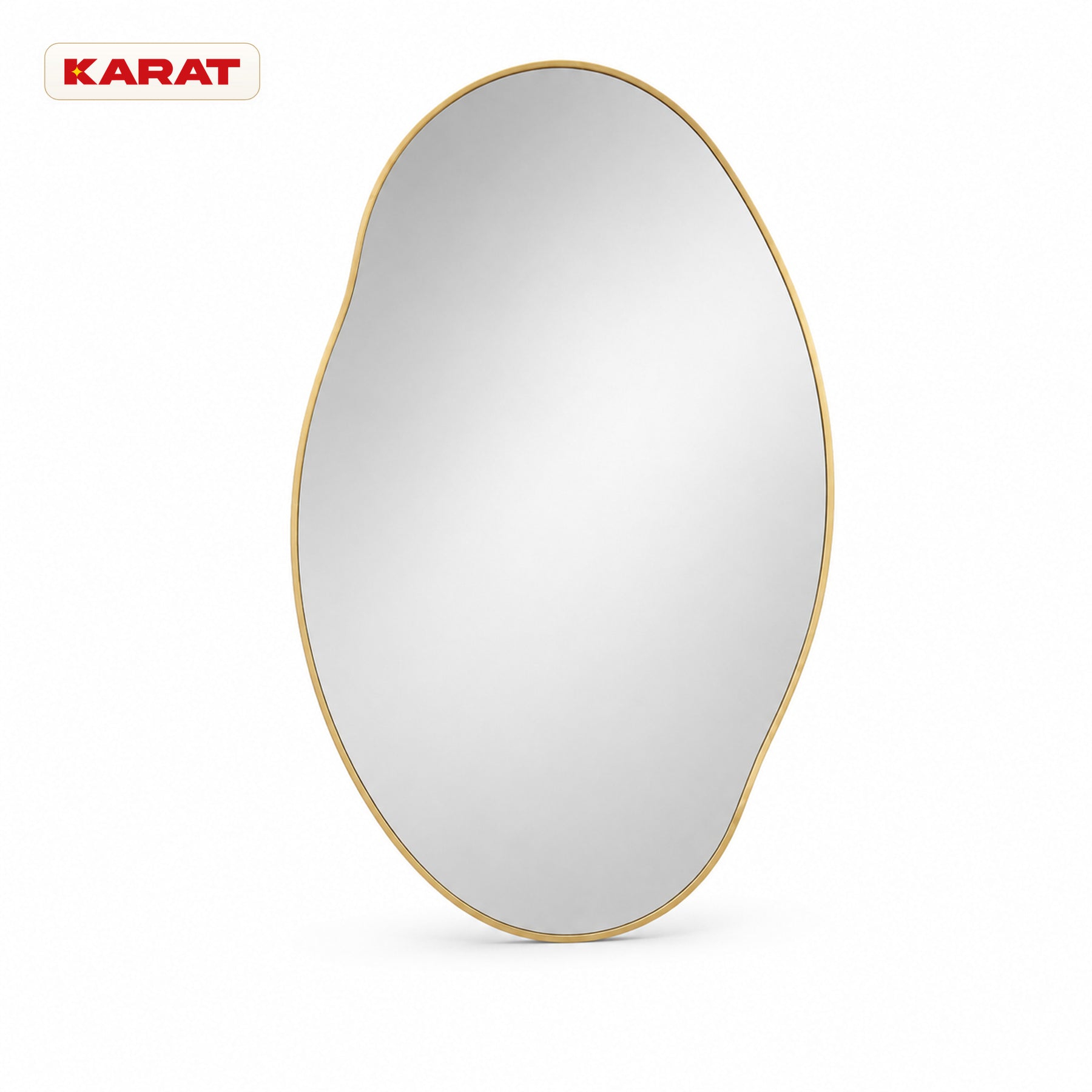 Miroir mural | Lena | Miroir organique avec cadre en aluminium champagne | 60 × 90 cm