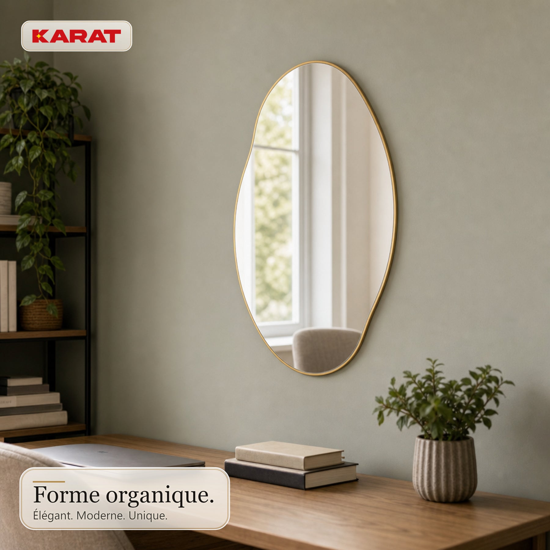 Miroir mural | Lena | Miroir organique avec cadre en aluminium champagne | 60 × 90 cm