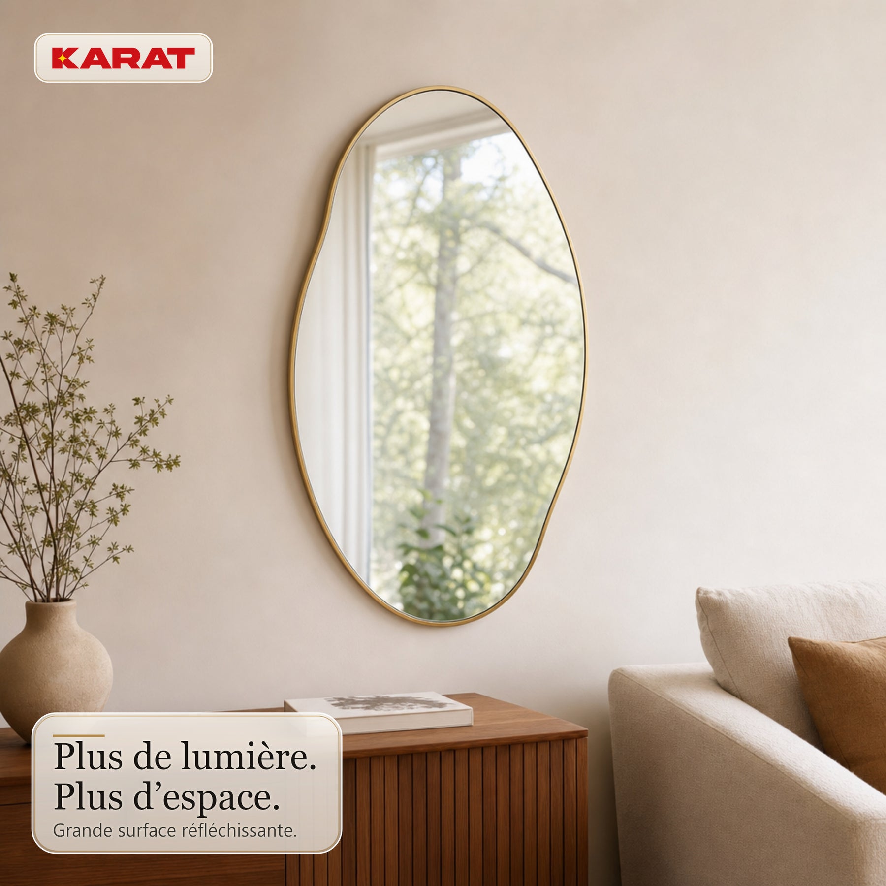 Miroir mural | Lena | Miroir organique avec cadre en aluminium champagne | 60 × 90 cm