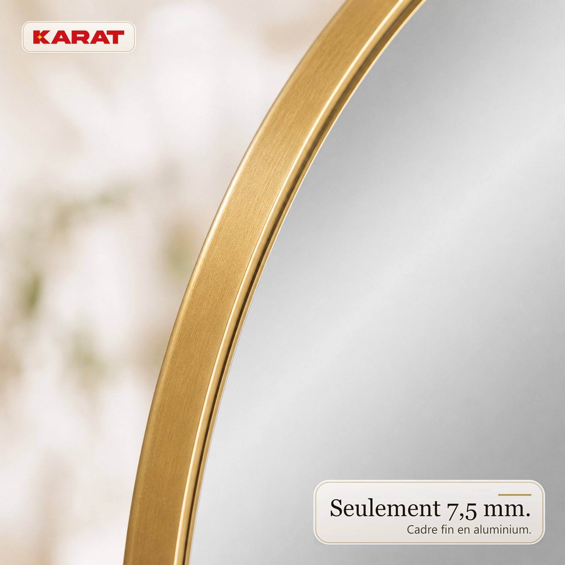 Miroir mural | Lena | Miroir organique avec cadre en aluminium champagne | 60 × 90 cm