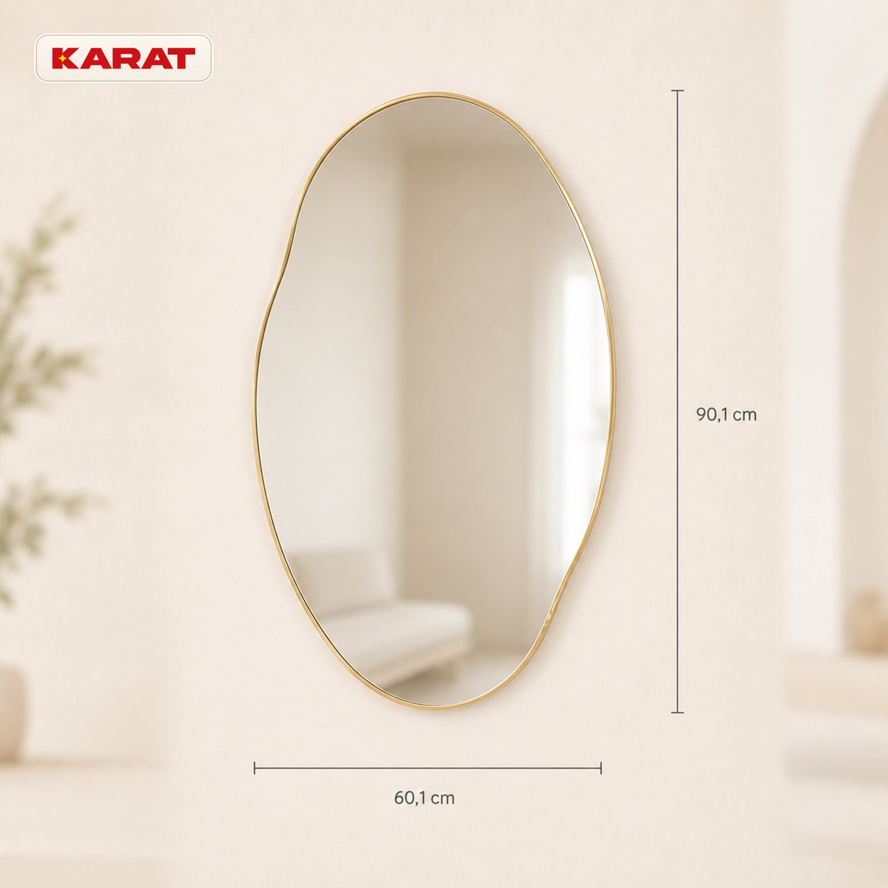 Miroir mural | Lena | Miroir organique avec cadre en aluminium champagne | 60 × 90 cm