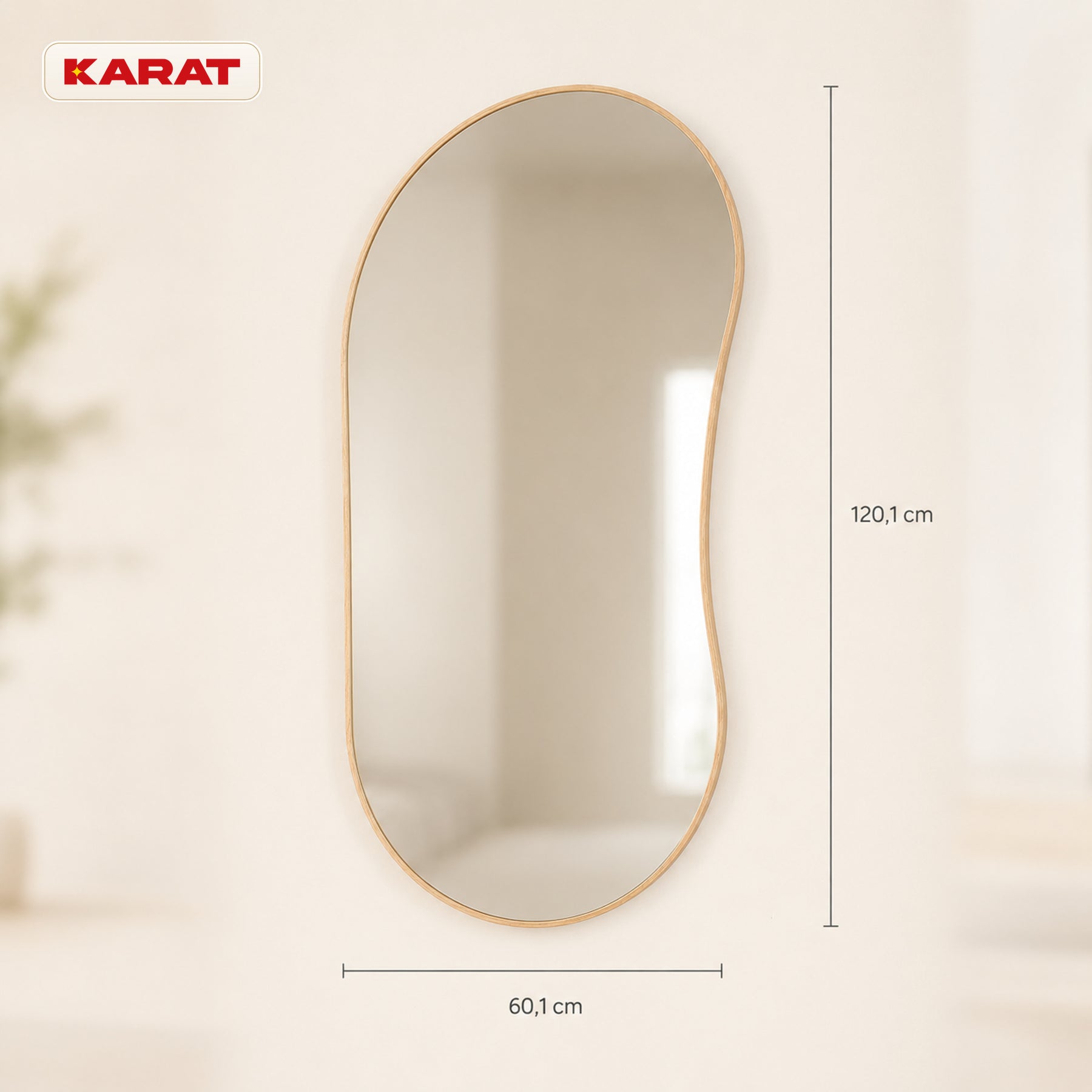 Miroir mural | Serena | Miroir pleine longueur organique avec cadre en aluminium aspect bois | 60 × 120 cm