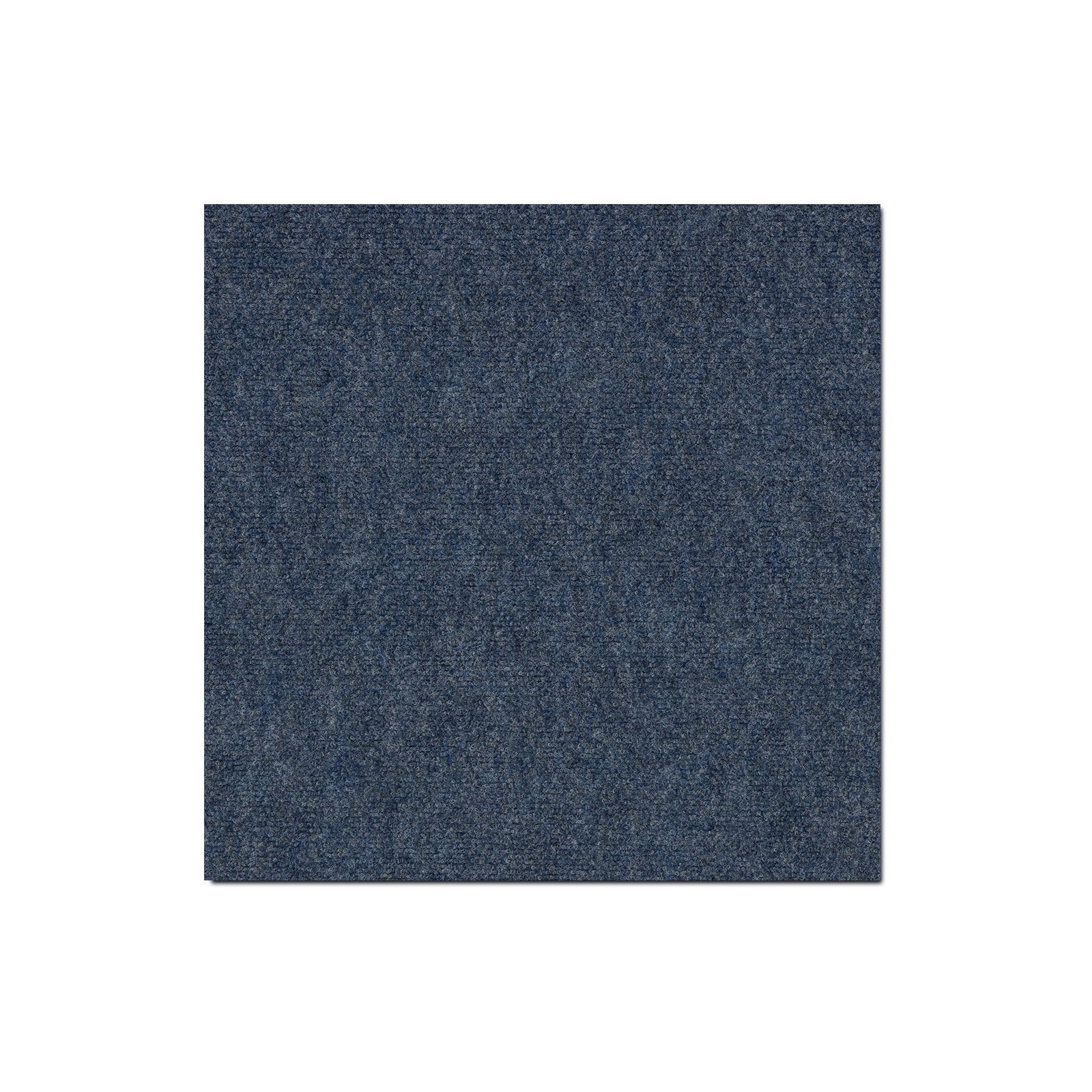 F1_Bleu 80
