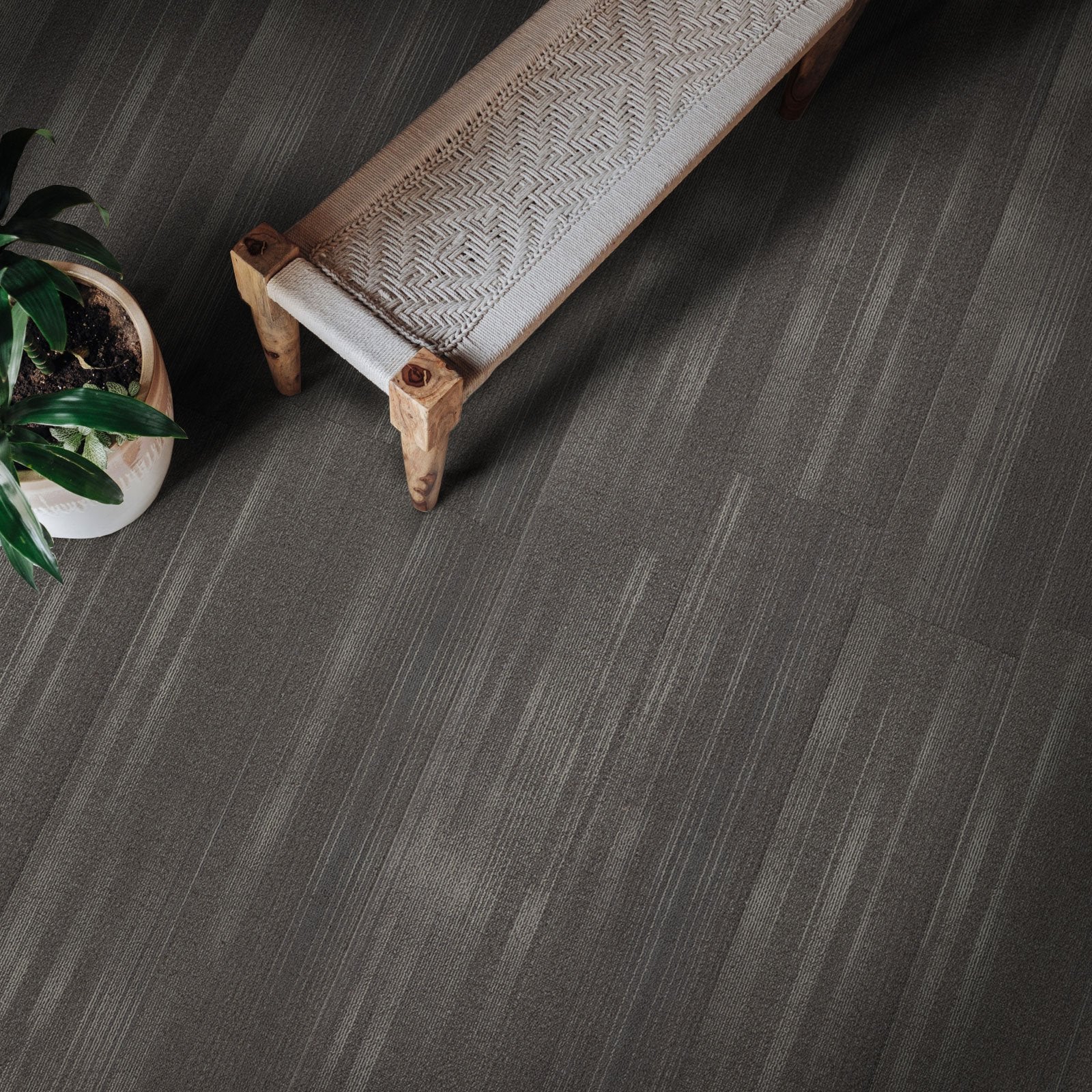 A2_Gris 82024