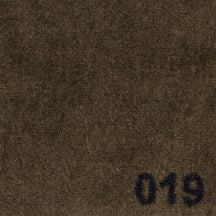 F1_019