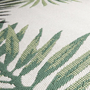 F3_Cycas