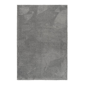 F1_Gris clair