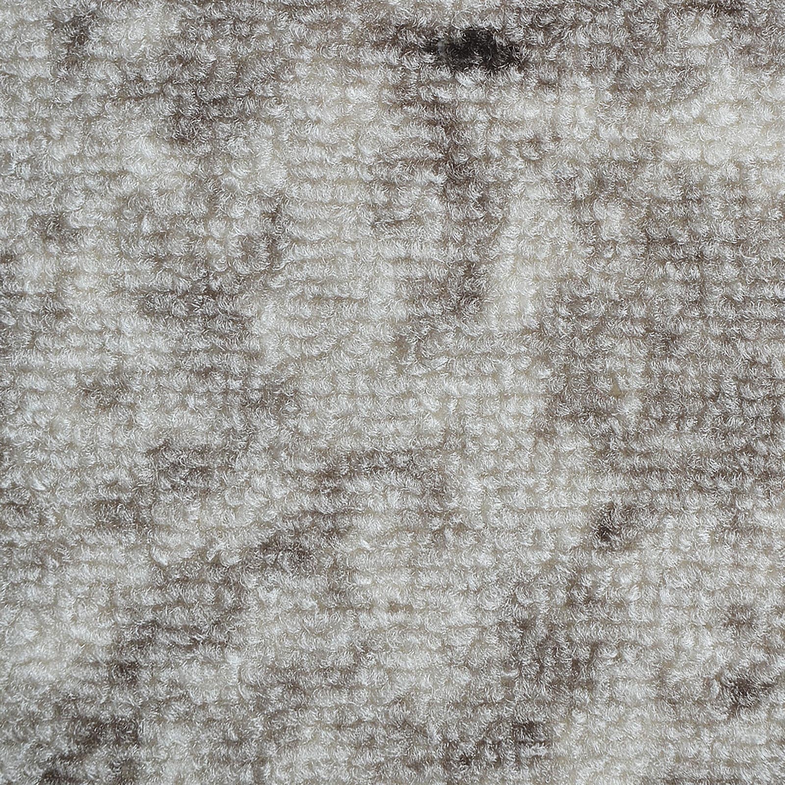 F6_Gris | Gris