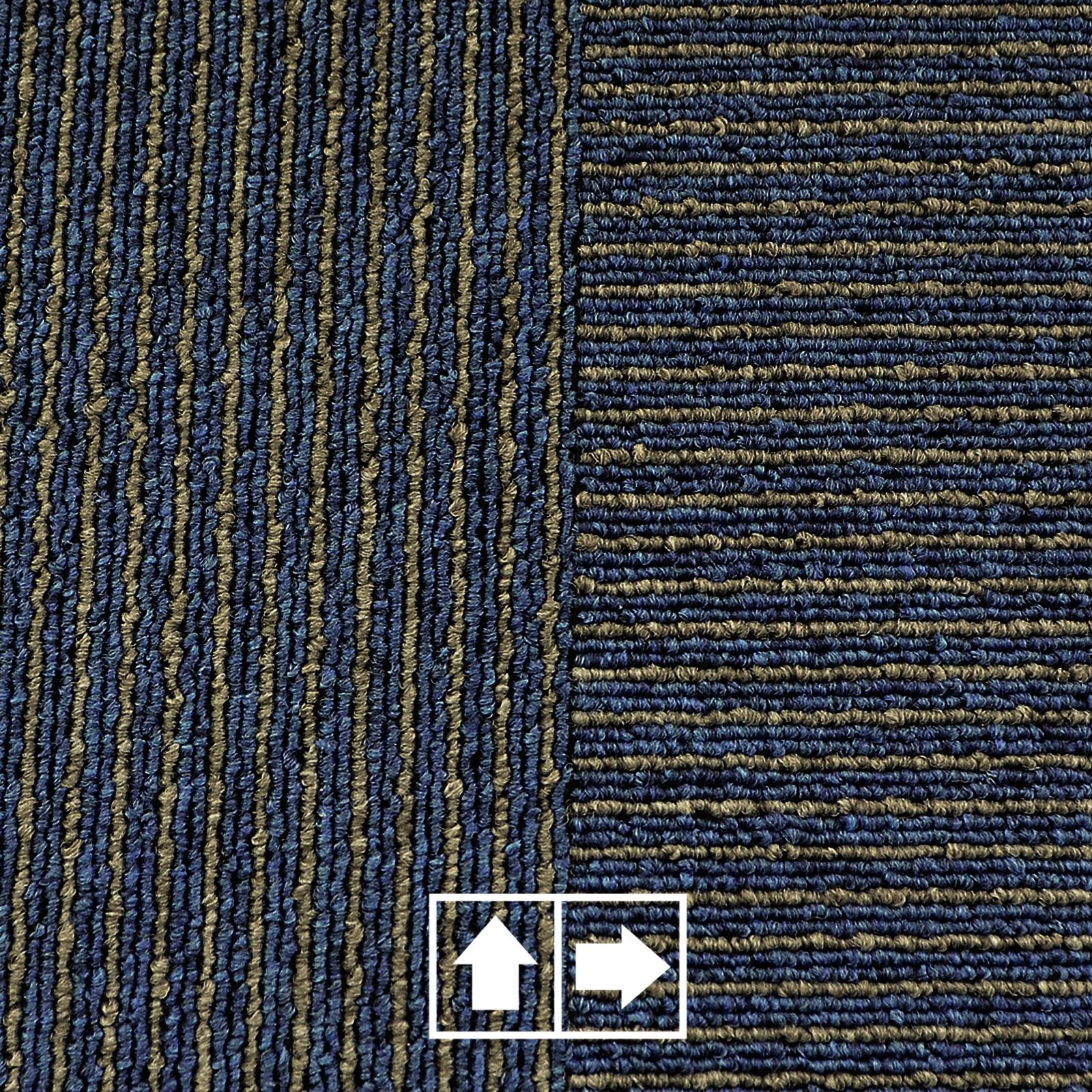 F6_Bleu | Bleu