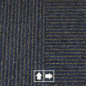 F6_Bleu | Bleu