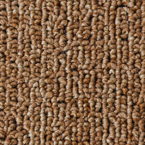 F5_Beige | Beige