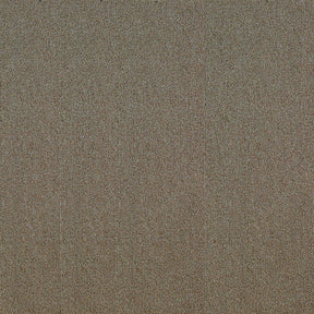 F8_Beige | Beige
