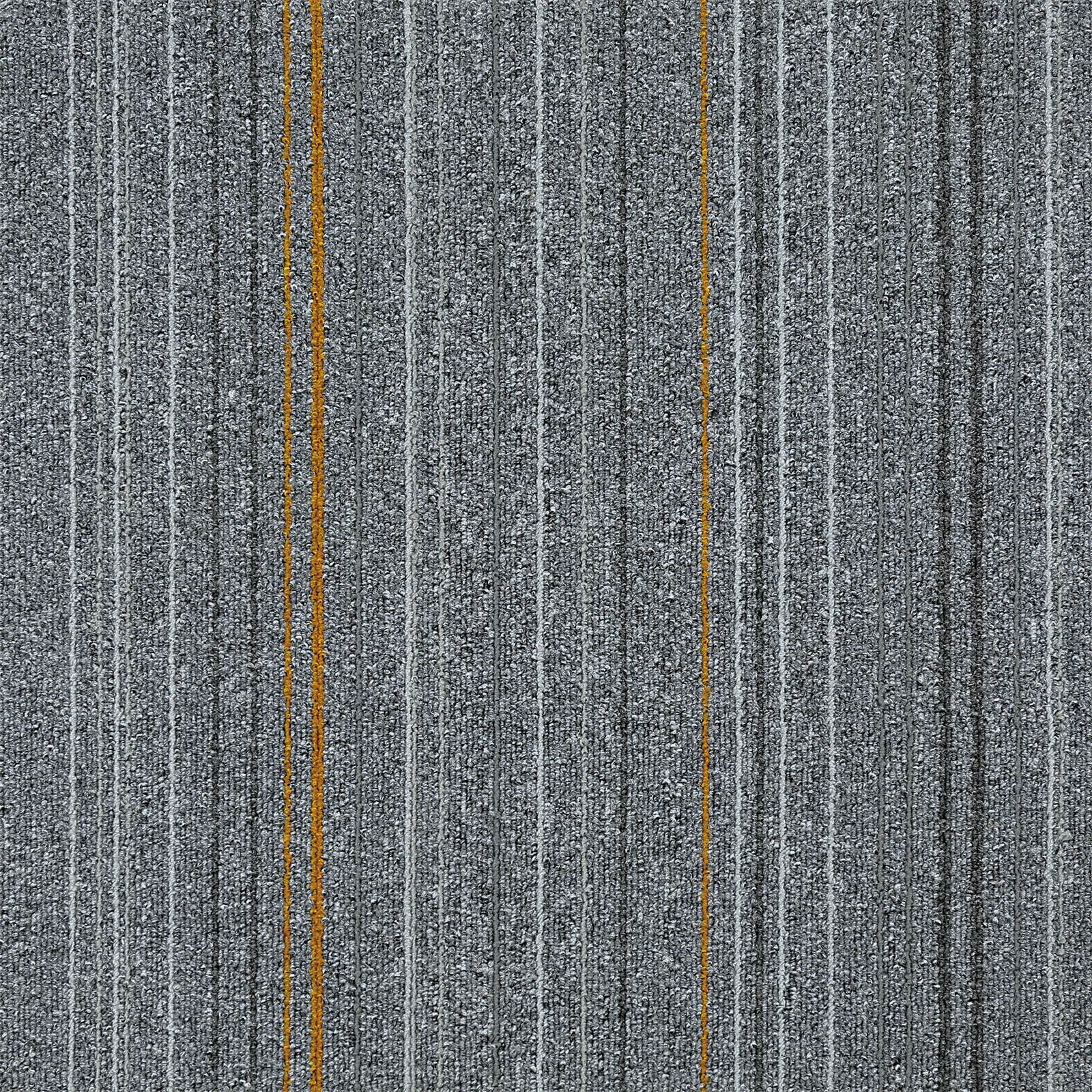 F3_Gris clair | Gris clair