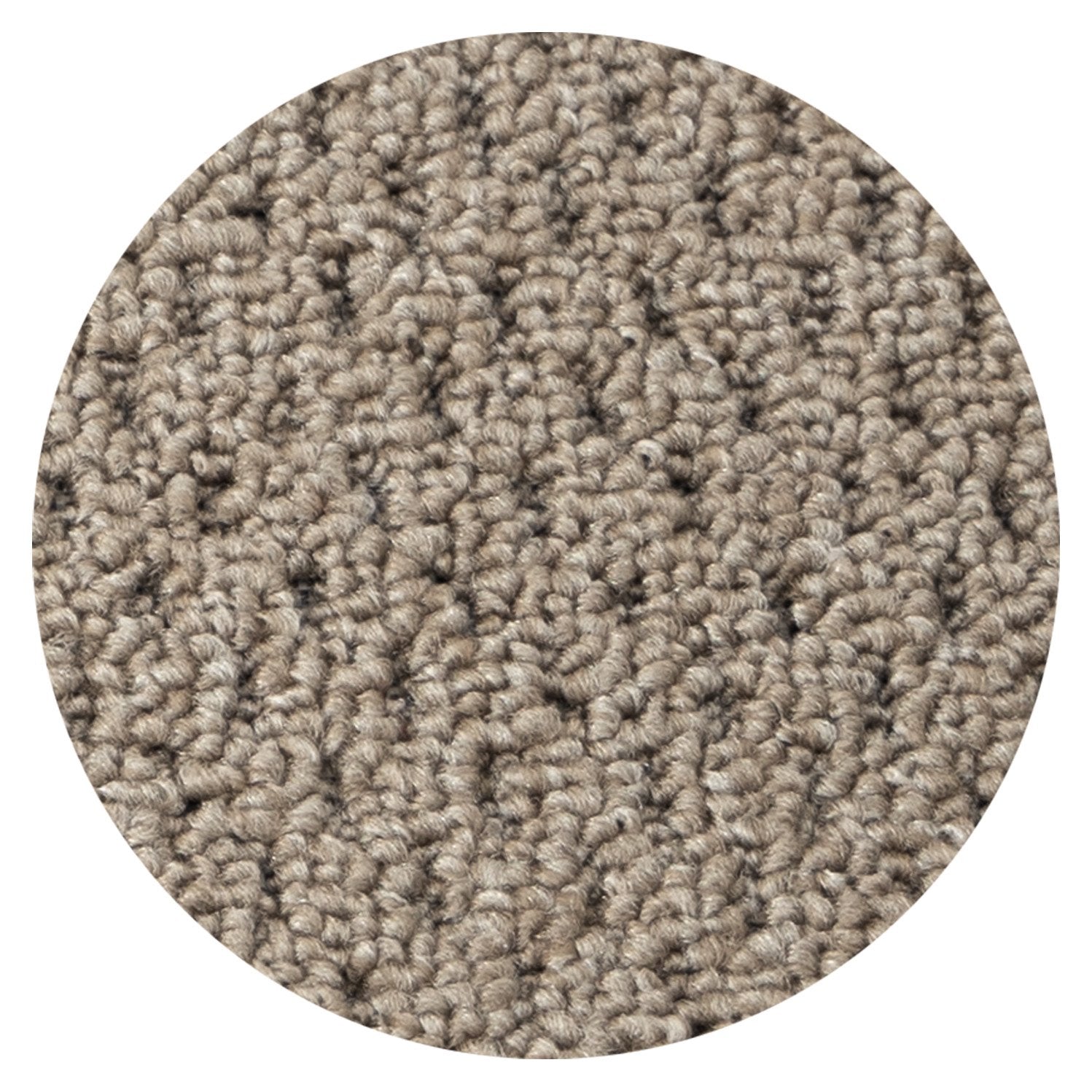 F4_Beige | Beige