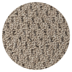F4_Beige | Beige
