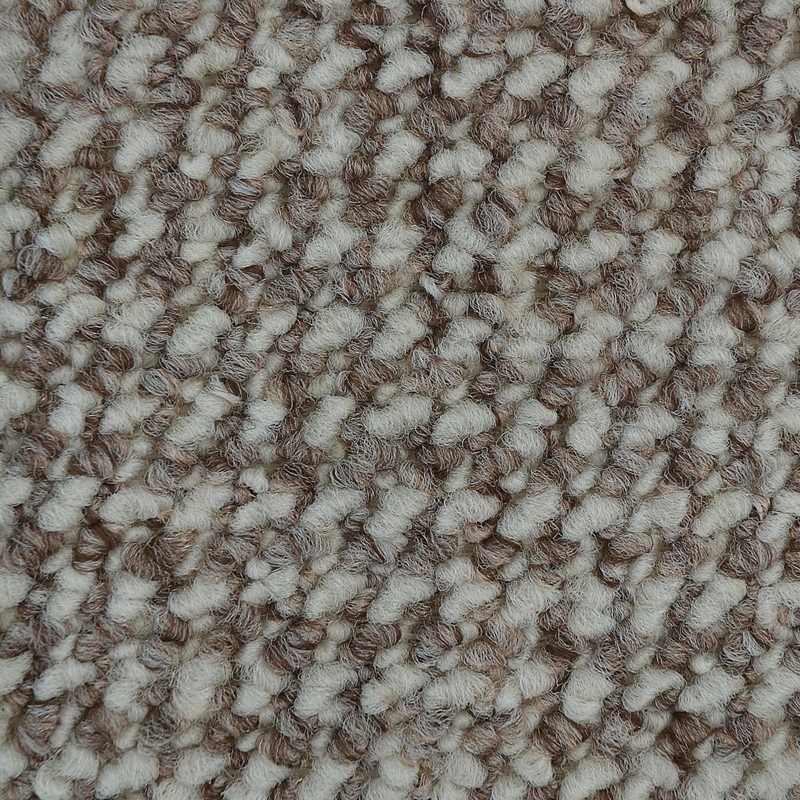 F3_Gris-Beige | Gris-Beige