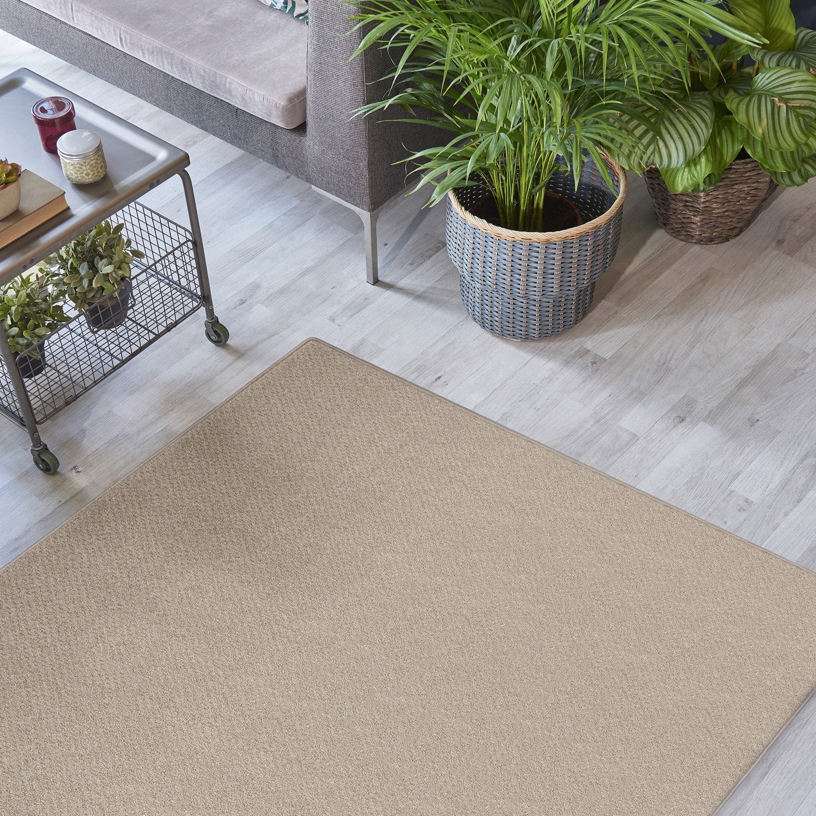A1_Beige | Beige