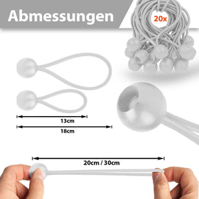 T2_Blanc