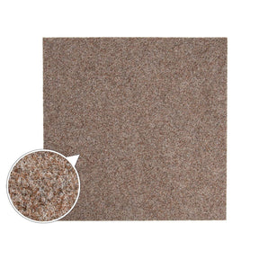 F3_Beige | Beige