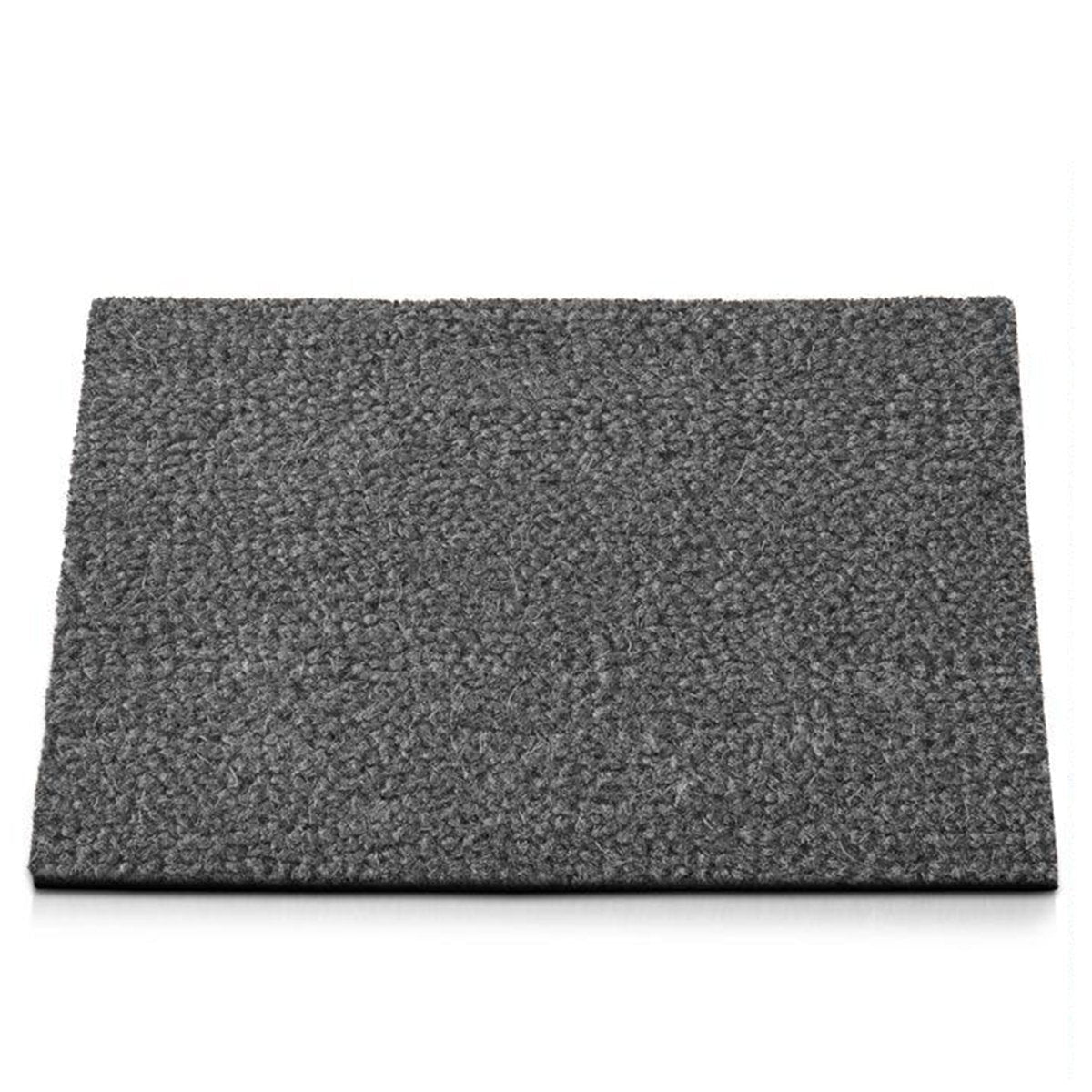 F2_Gris