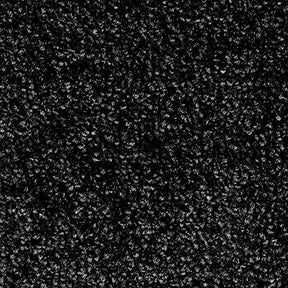 F2_Noir | Noir