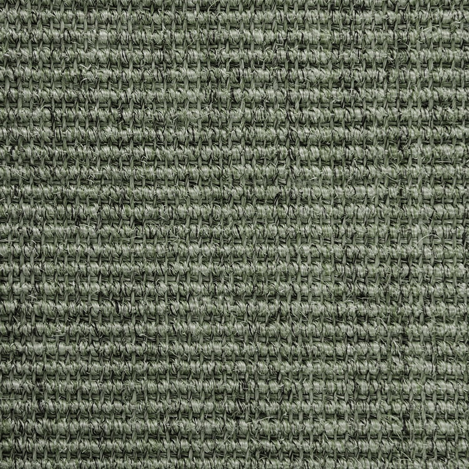 F3_Gris | Gris