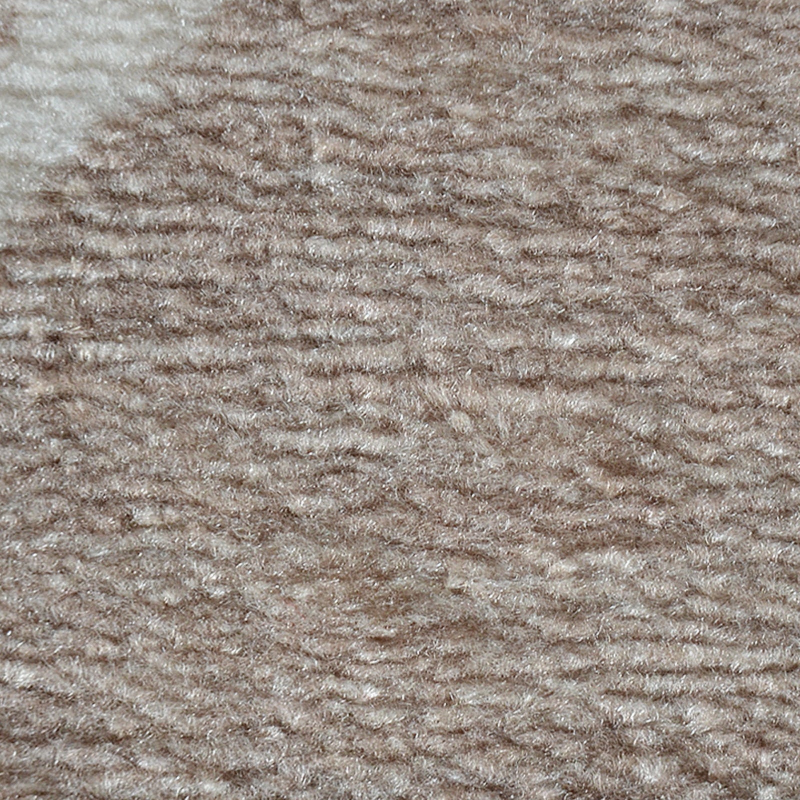 F3_Beige | Beige