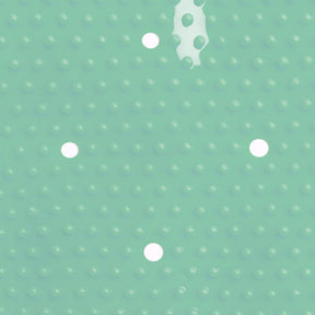 F5_Mint | Mint